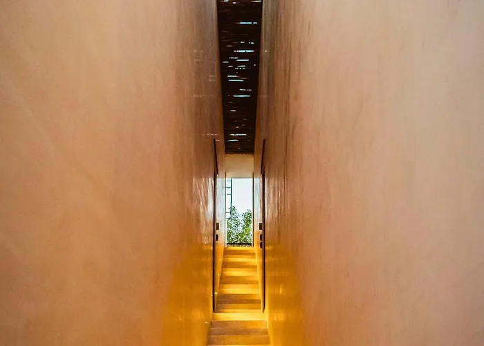 Apartment Casa Palalma Penthouse With Private Rooftop Pool Tulum