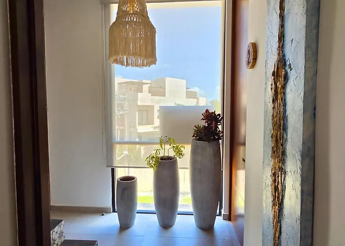 Casa Palalma Penthouse With Private Rooftop Pool Apartment